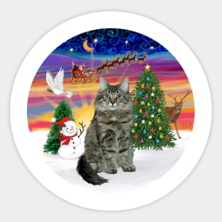 Santa Takes Off into a Glorious Sunset - featuring a Main Coon Cat Sticker